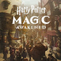 Harry Potter: Magic Awakened (CN)