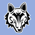 Dire Wolf Game Room