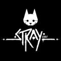 Stray