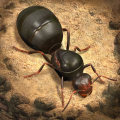The Ants: Underground Kingdom