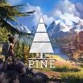Pine