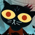 Night In The Woods