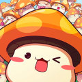 MapleStory R: Evolution