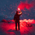 Will: Follow The Light