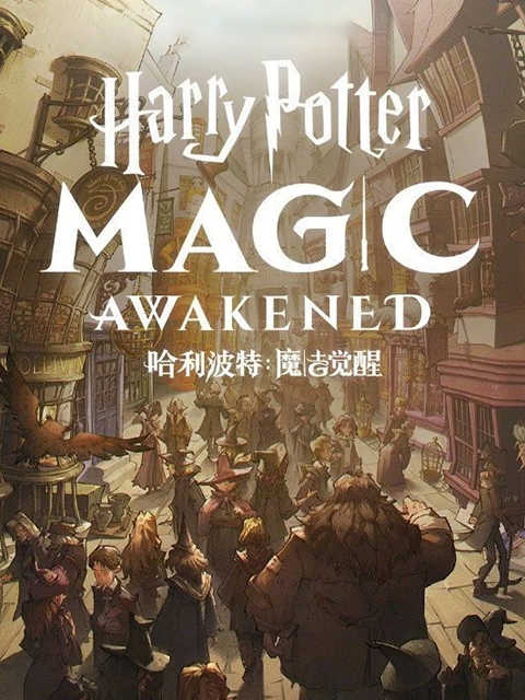 Harry Potter: Magic Awakened (CN)