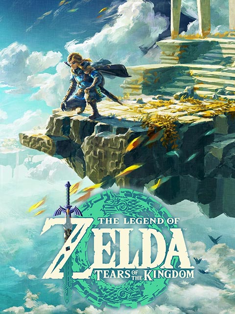 The Legend Of Zelda Breath Of The Wild 2 Game Top Up Seagm Seagm