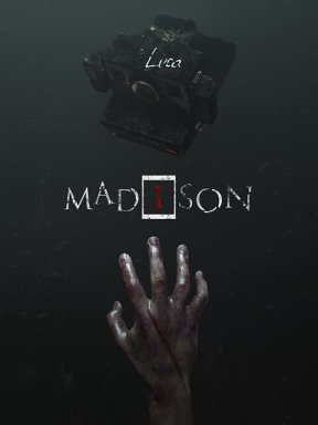 MADiSON