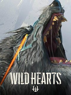 WILD HEARTS