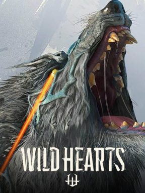 WILD HEARTS