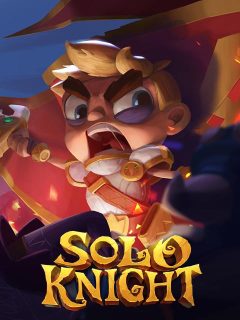 Solo Knight