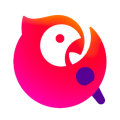 全民K歌 K币 (CN)