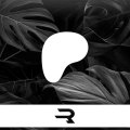 Patreon Gift Card USD