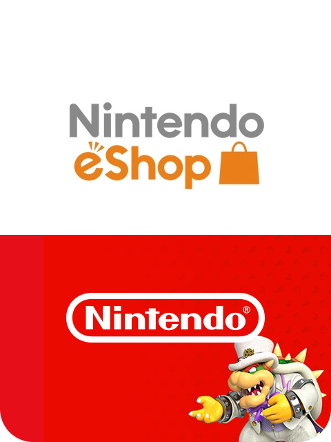 E shop hot sale card nintendo