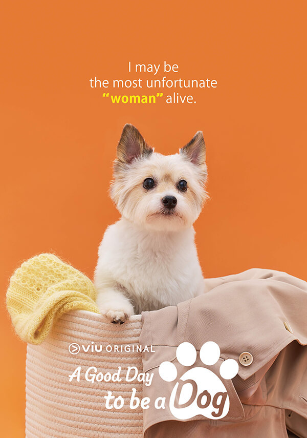 A good Day to Be A Dog