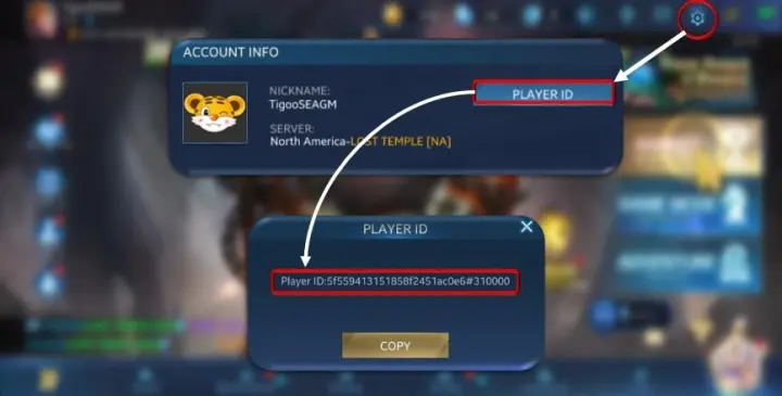 how to find heroes evolved player id