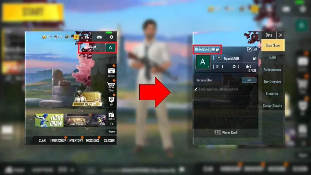 how to find pubg m lite player id