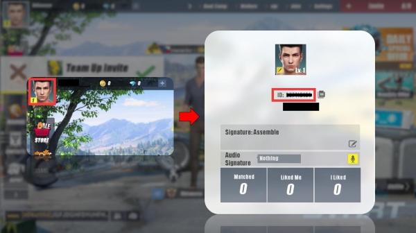 how to find ros mobile role id