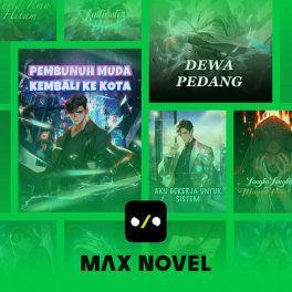 MaxNovel Koin
