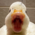 Ghinka