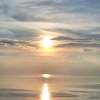 U260618226781